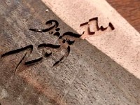Wood Logo Fingerboard